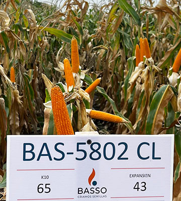 BAS 5802 CL