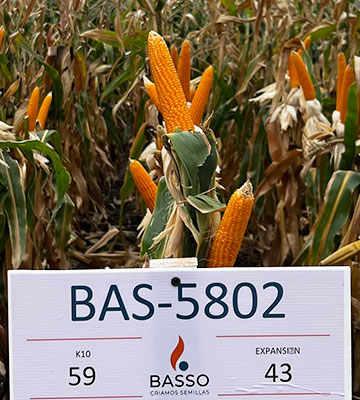 BAS 5802