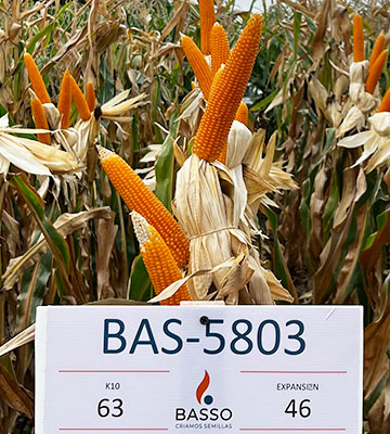 BAS 5803